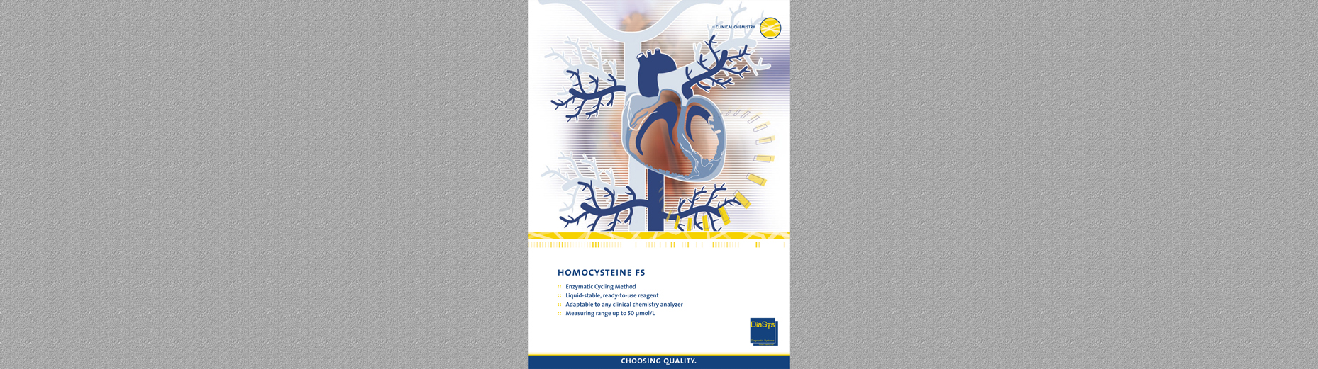 Homocysteine FS Brochure